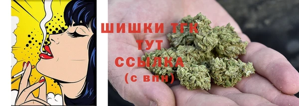 индика Костерёво