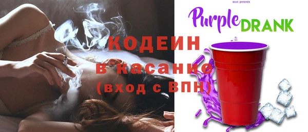 прущие грибы Богородск