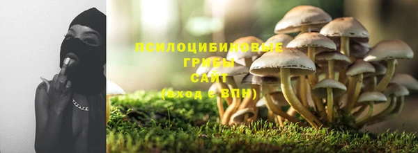 прущие грибы Зеленодольск