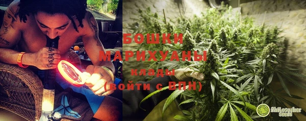 прущие грибы Богородск