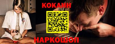 гидропоника Камышлов