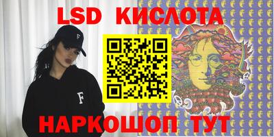 гидропоника Камышлов