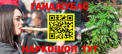 гидропоника Камышлов