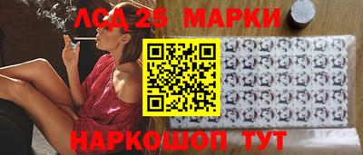 гидропоника Камышлов