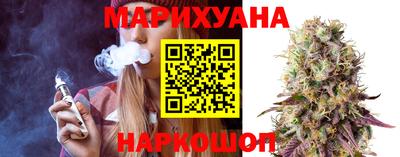 гидропоника Камышлов
