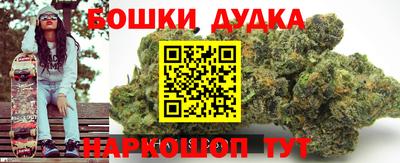 гидропоника Камышлов