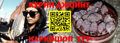 гидропоника Камышлов