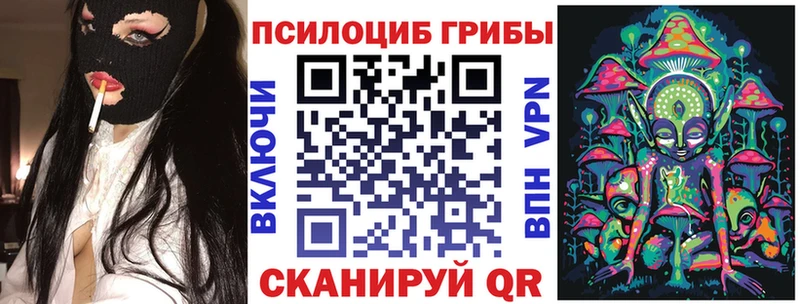 где продают   OMG вход  Псилоцибиновые грибы GOLDEN TEACHER  Кстово 