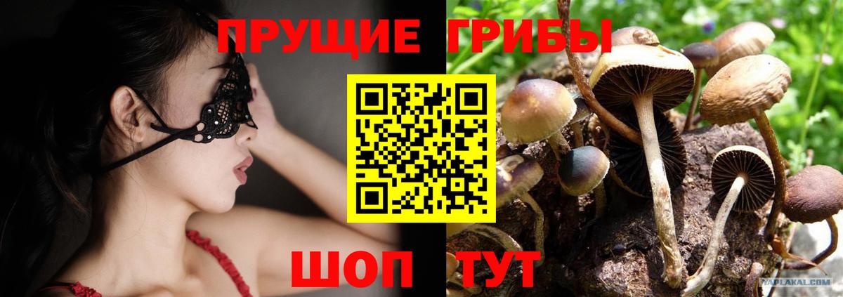 Кстово  Псилоцибиновые грибы прущие грибы  цены наркотик  Вход с VPN 